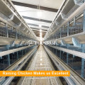 High Quality Automatic Poultry Chicken Cages